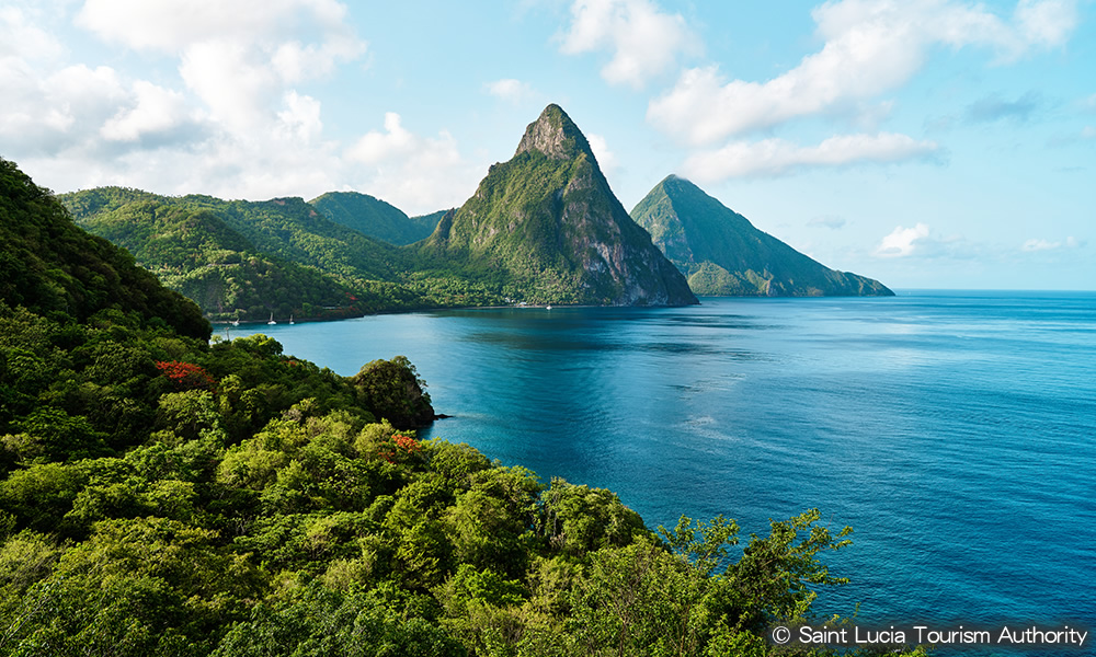 ピトン山 | カリブ海 旅行・観光 情報ポータルサイト