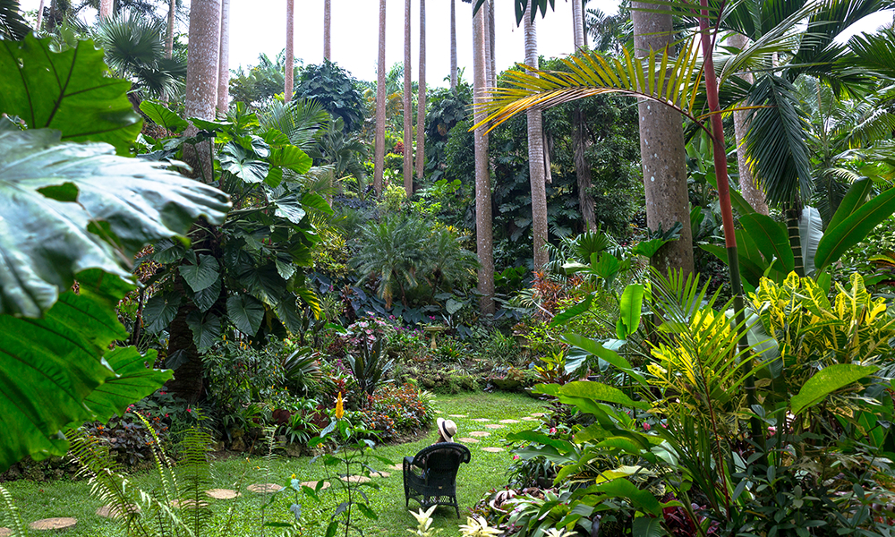 ハンツ・ガーデンズ　Hunte's Gardens